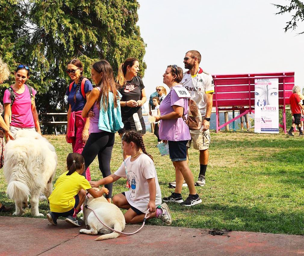 Evento Raccolta Fondi Busca Fitwalking Solidale | La Cura nello Sguardo