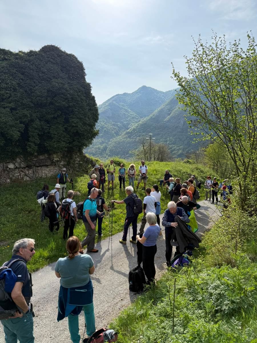 Gallery: la-cura-nello-sguardo-e-cattedre-della-salute-una-domenica-tra-cammino-e-consapevolezza-a-moiola - 11