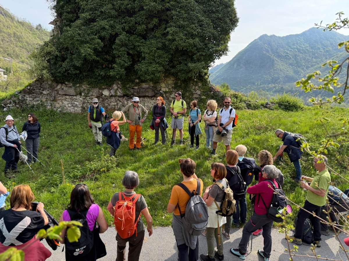 Gallery: la-cura-nello-sguardo-e-cattedre-della-salute-una-domenica-tra-cammino-e-consapevolezza-a-moiola - 13