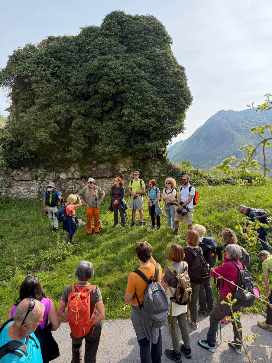 Gallery: la-cura-nello-sguardo-e-cattedre-della-salute-una-domenica-tra-cammino-e-consapevolezza-a-moiola - 15