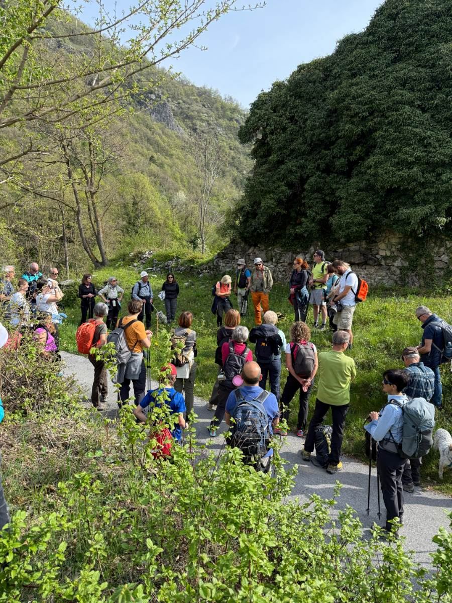 Gallery: la-cura-nello-sguardo-e-cattedre-della-salute-una-domenica-tra-cammino-e-consapevolezza-a-moiola - 16