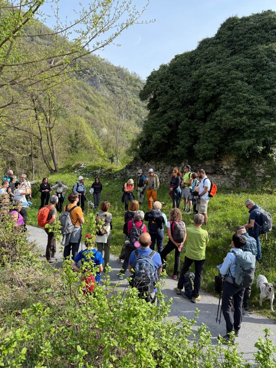 Gallery: la-cura-nello-sguardo-e-cattedre-della-salute-una-domenica-tra-cammino-e-consapevolezza-a-moiola - 17