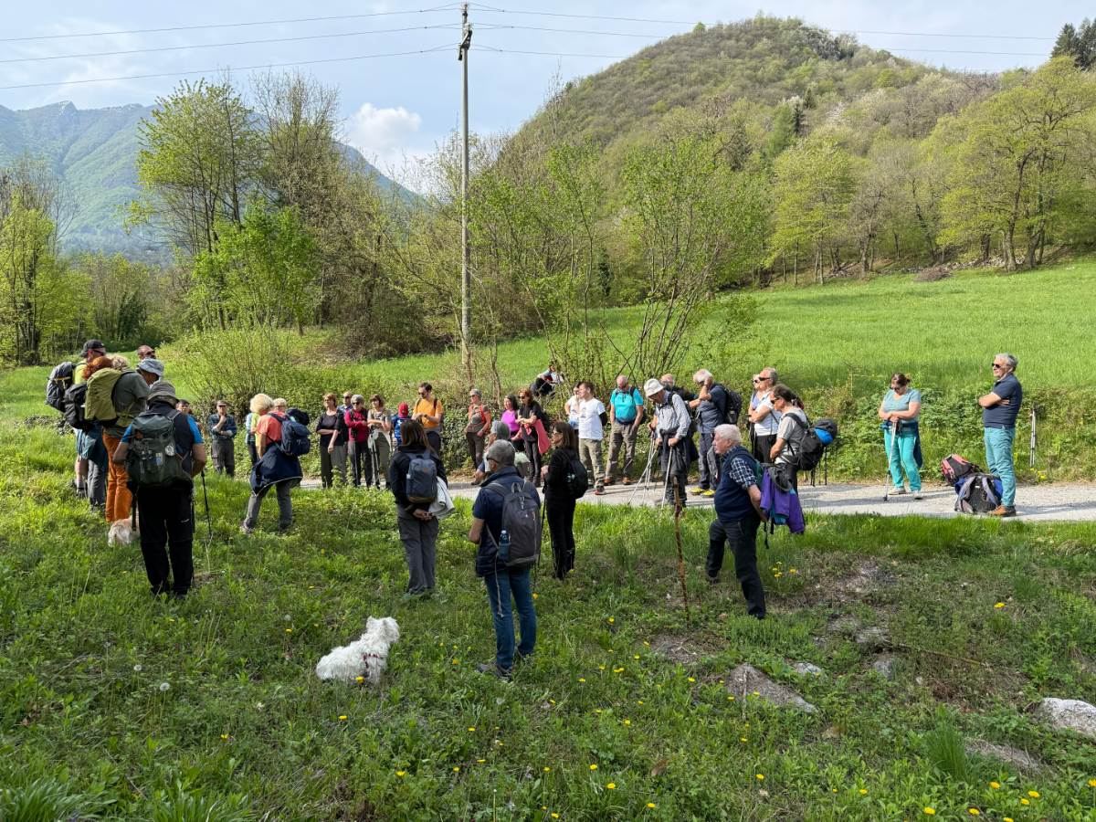 Gallery: la-cura-nello-sguardo-e-cattedre-della-salute-una-domenica-tra-cammino-e-consapevolezza-a-moiola - 19