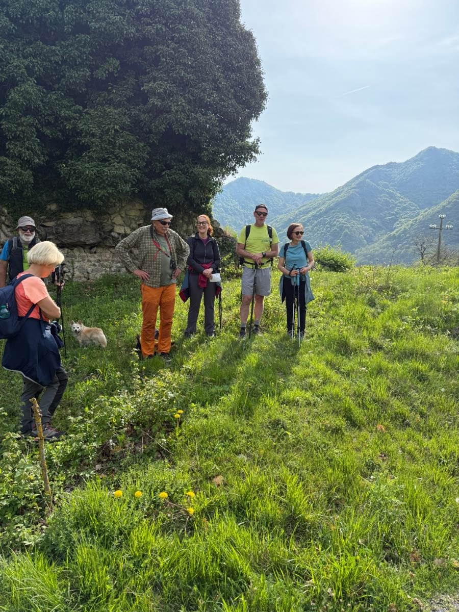 Gallery: la-cura-nello-sguardo-e-cattedre-della-salute-una-domenica-tra-cammino-e-consapevolezza-a-moiola - 1