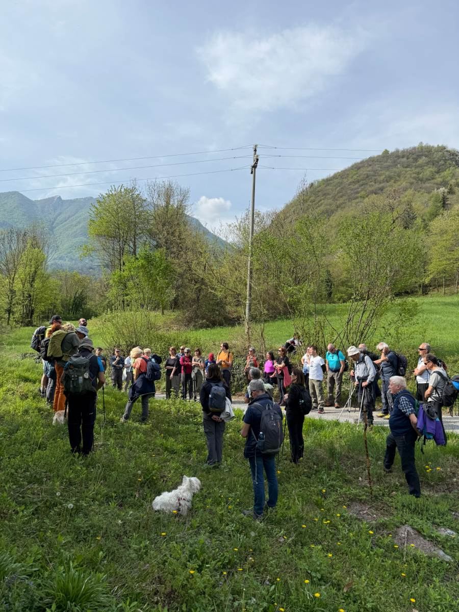 Gallery: la-cura-nello-sguardo-e-cattedre-della-salute-una-domenica-tra-cammino-e-consapevolezza-a-moiola - 21