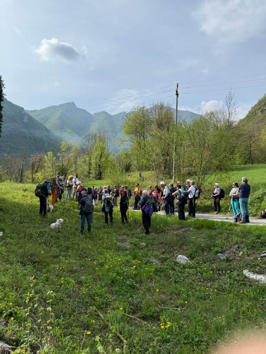 Gallery: la-cura-nello-sguardo-e-cattedre-della-salute-una-domenica-tra-cammino-e-consapevolezza-a-moiola - 22
