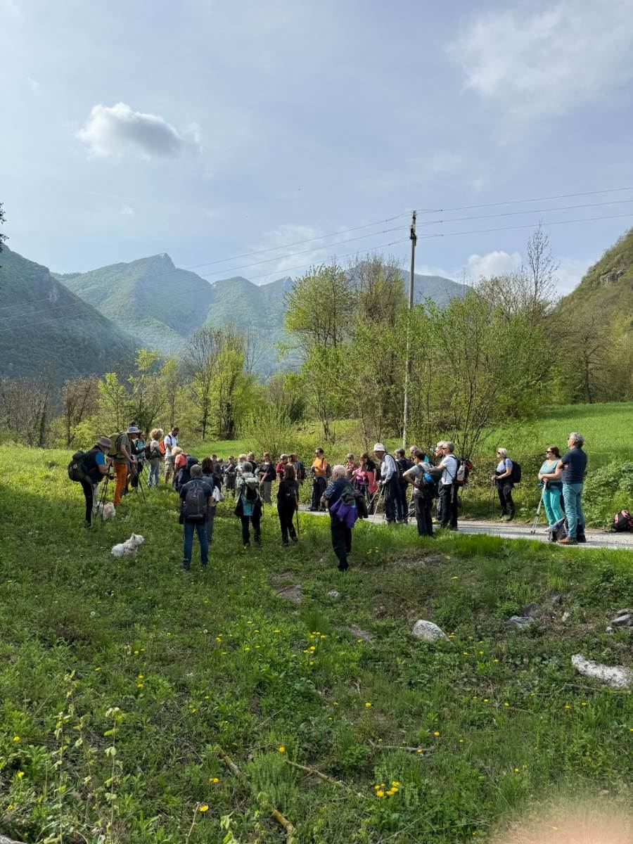 Gallery: la-cura-nello-sguardo-e-cattedre-della-salute-una-domenica-tra-cammino-e-consapevolezza-a-moiola - 23