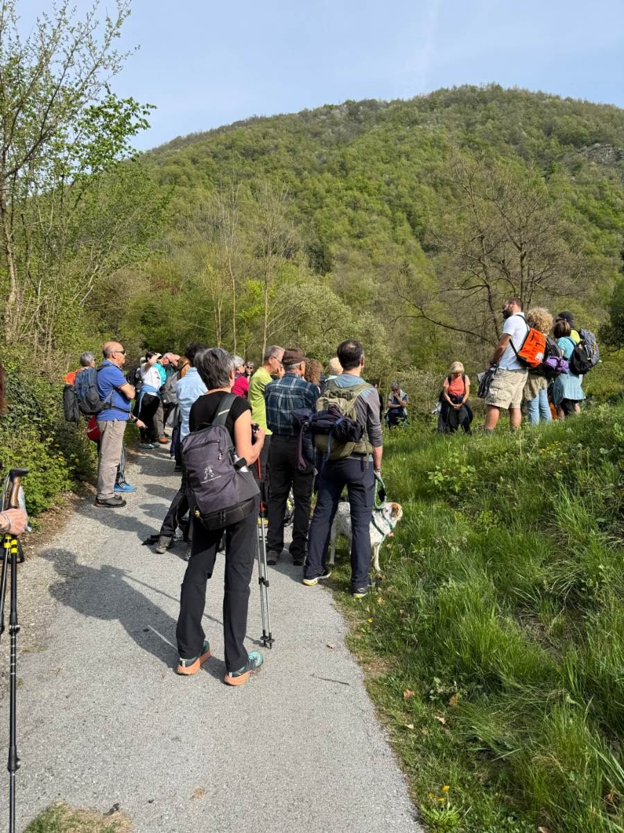 Gallery: la-cura-nello-sguardo-e-cattedre-della-salute-una-domenica-tra-cammino-e-consapevolezza-a-moiola - 24
