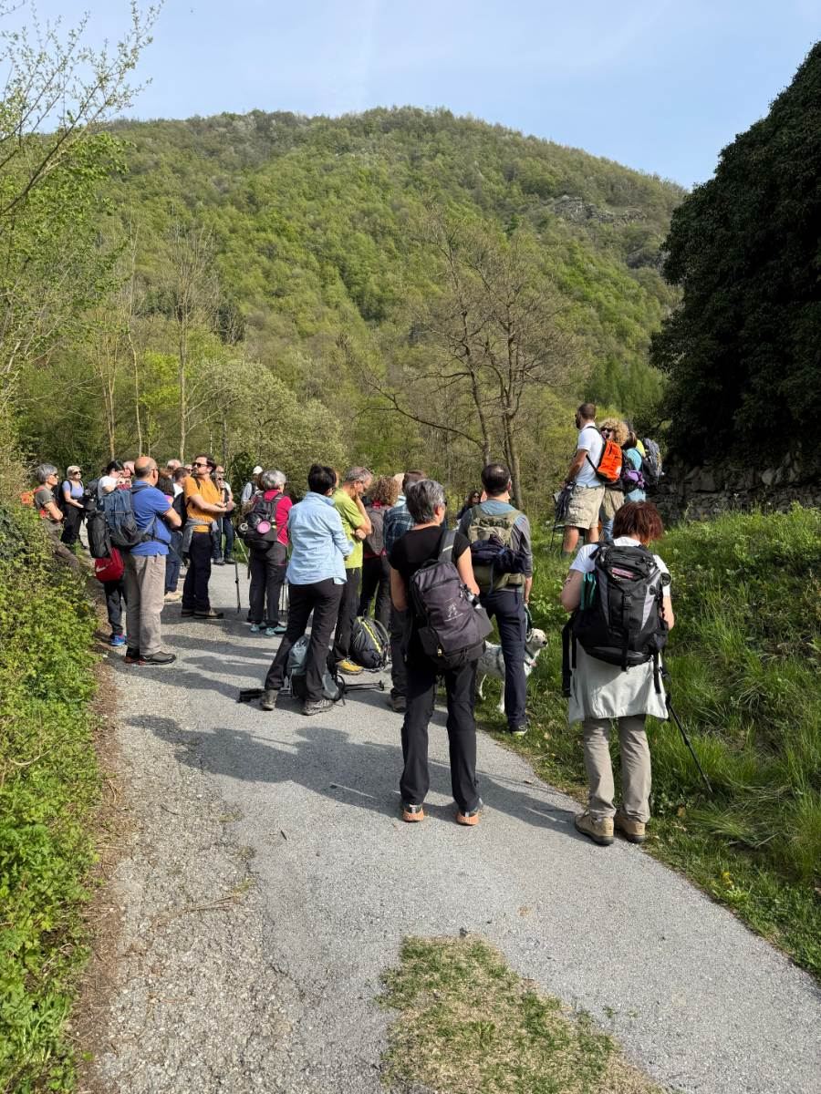 Gallery: la-cura-nello-sguardo-e-cattedre-della-salute-una-domenica-tra-cammino-e-consapevolezza-a-moiola - 25
