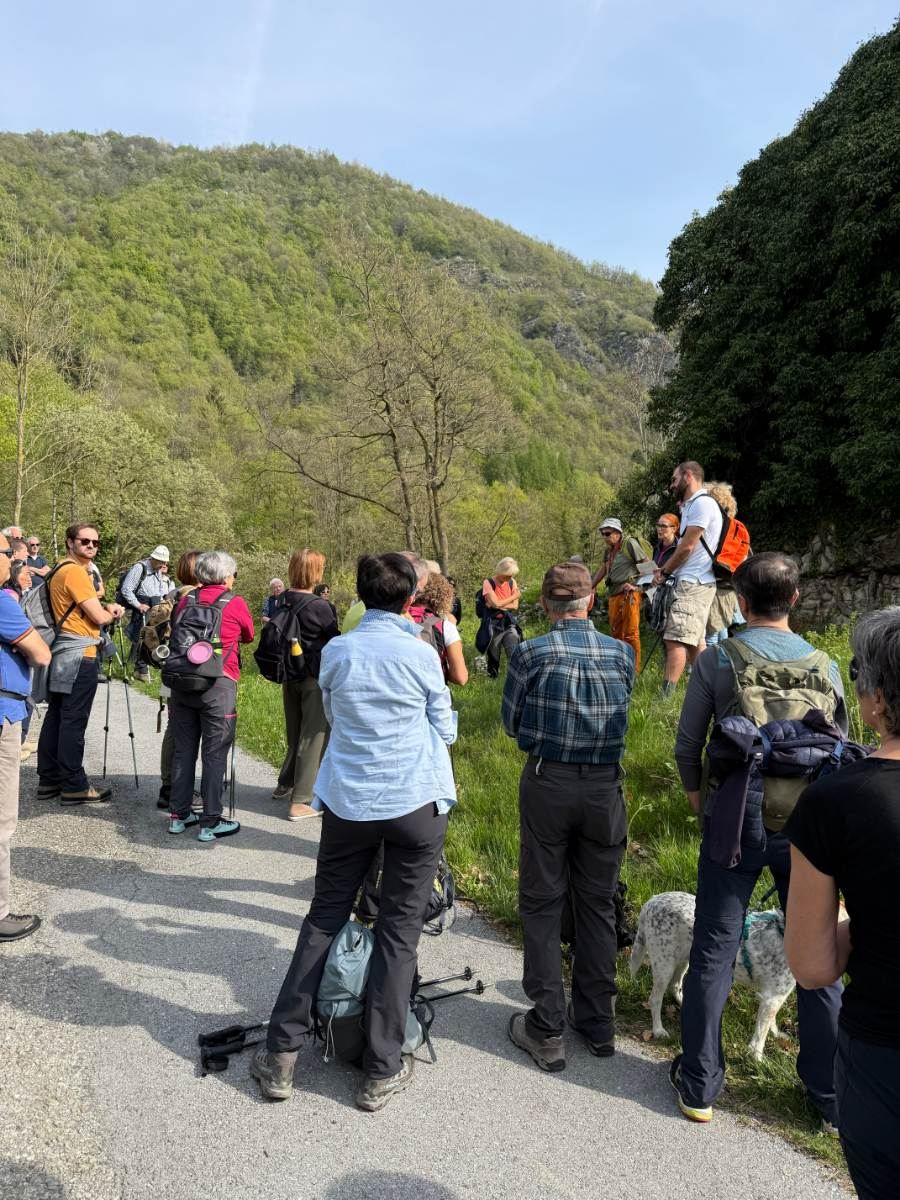 Gallery: la-cura-nello-sguardo-e-cattedre-della-salute-una-domenica-tra-cammino-e-consapevolezza-a-moiola - 26