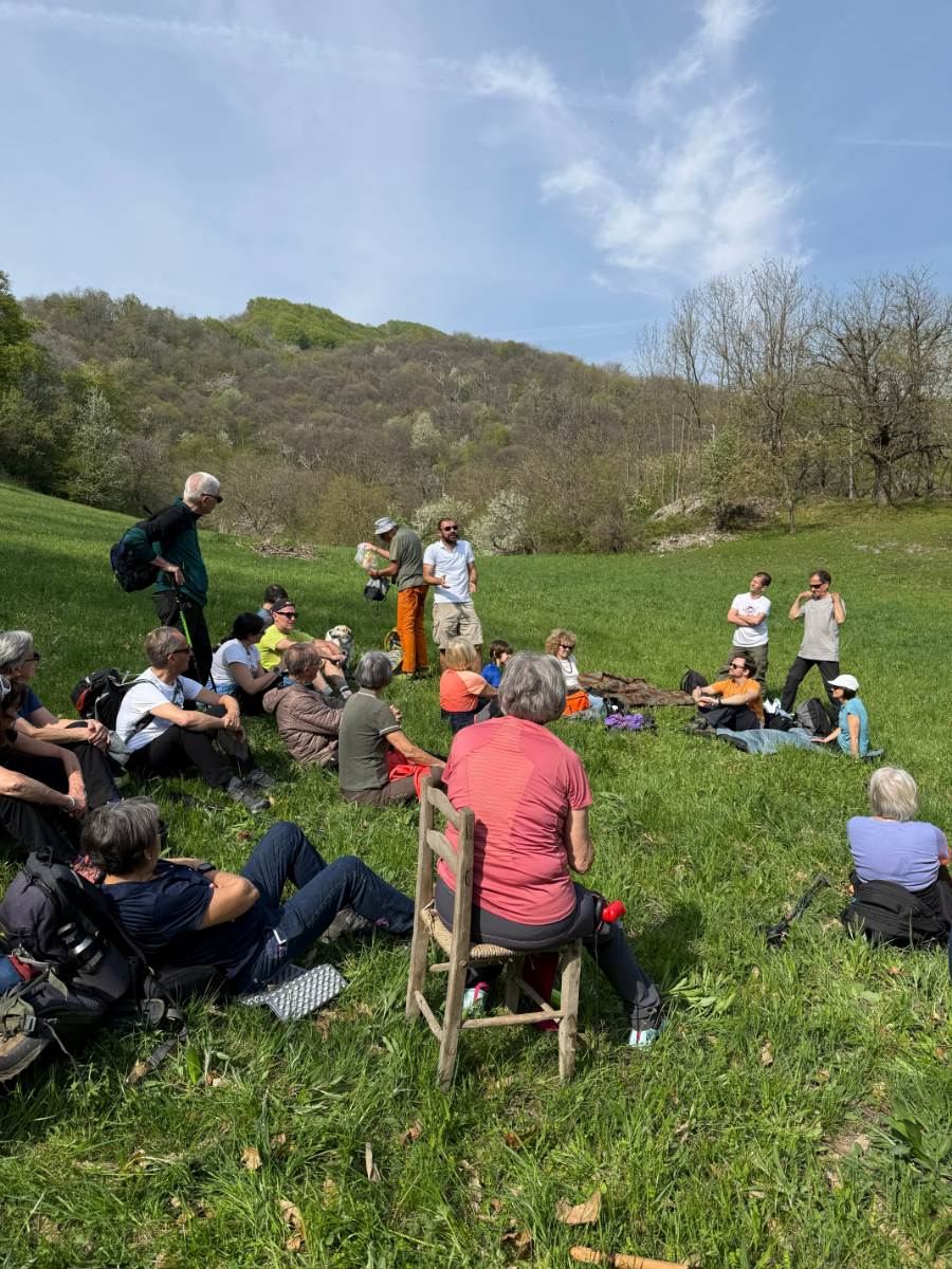 Gallery: la-cura-nello-sguardo-e-cattedre-della-salute-una-domenica-tra-cammino-e-consapevolezza-a-moiola - 37