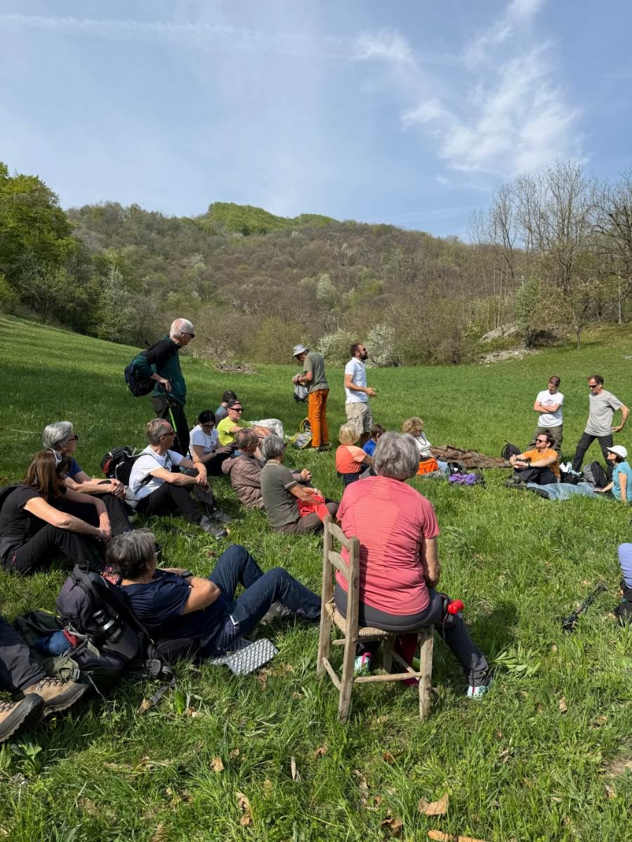 Gallery: la-cura-nello-sguardo-e-cattedre-della-salute-una-domenica-tra-cammino-e-consapevolezza-a-moiola - 38