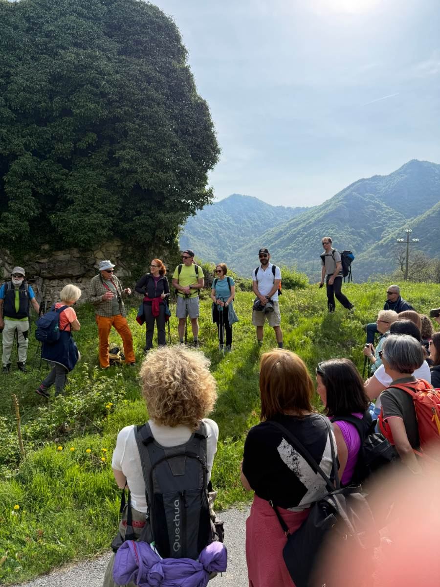 Gallery: la-cura-nello-sguardo-e-cattedre-della-salute-una-domenica-tra-cammino-e-consapevolezza-a-moiola - 5