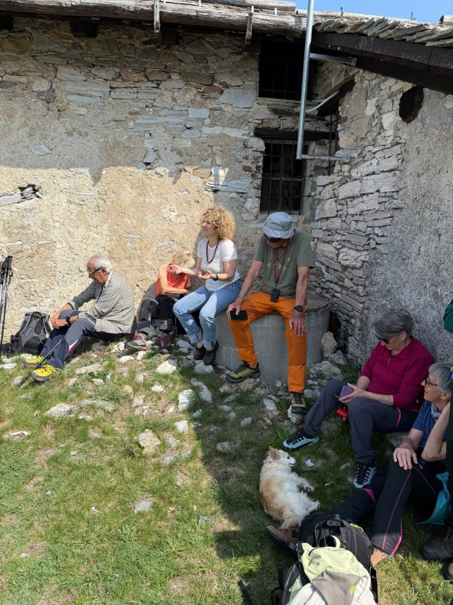 Gallery: la-cura-nello-sguardo-e-cattedre-della-salute-una-domenica-tra-cammino-e-consapevolezza-a-moiola - 71