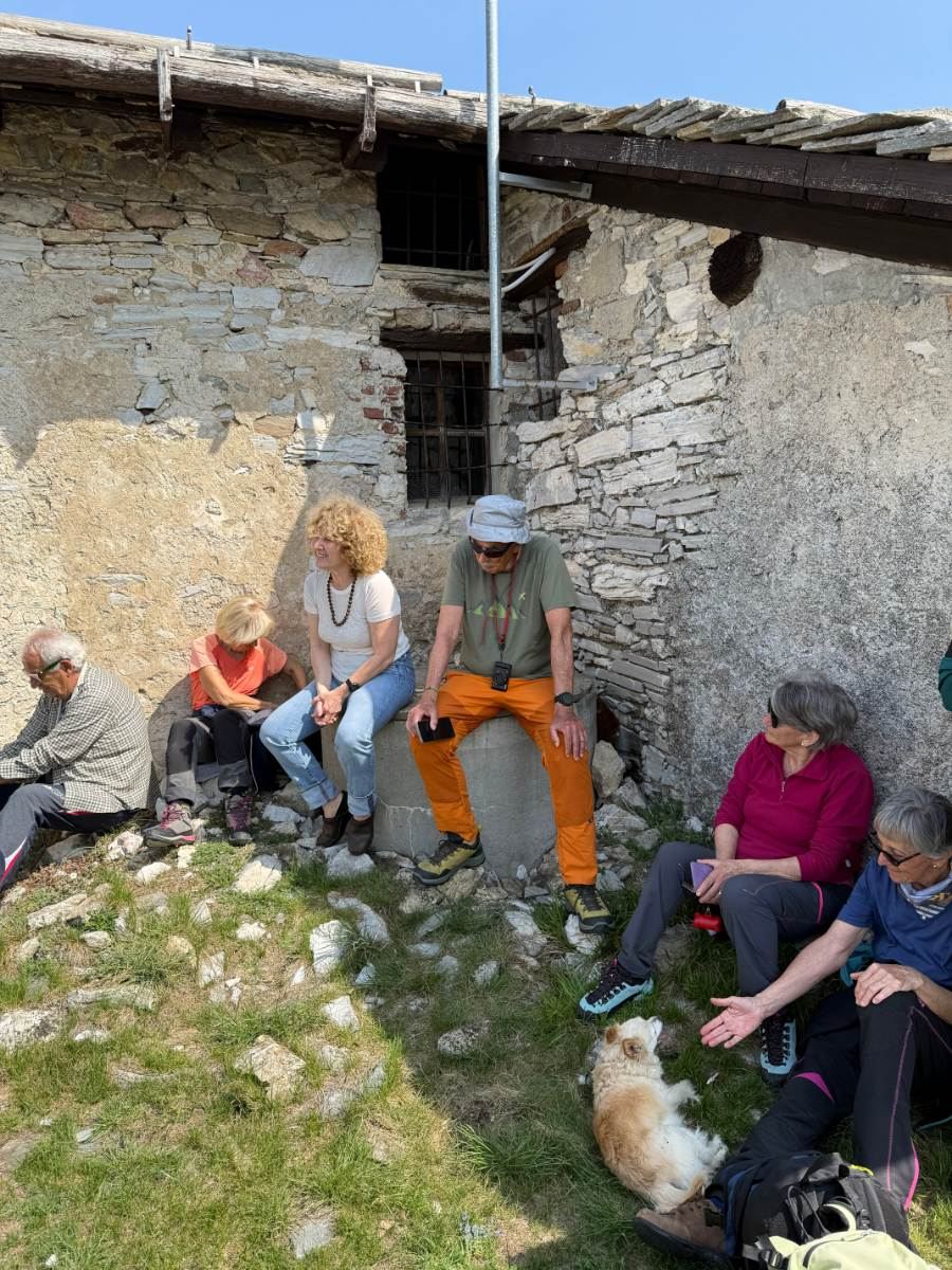 Gallery: la-cura-nello-sguardo-e-cattedre-della-salute-una-domenica-tra-cammino-e-consapevolezza-a-moiola - 72