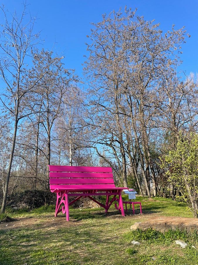 Gallery: Progetto Big Bench - 41