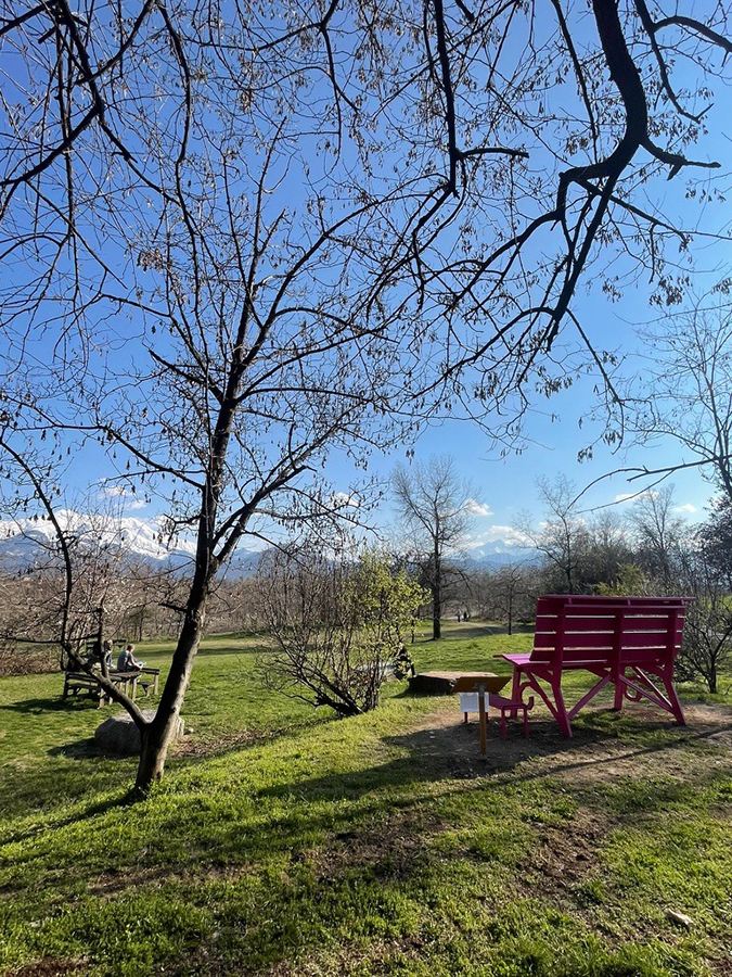 Gallery: Progetto Big Bench - 43