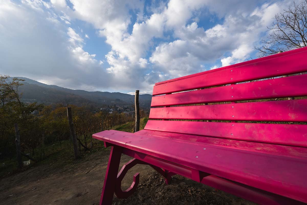Gallery: Progetto Big Bench - 49