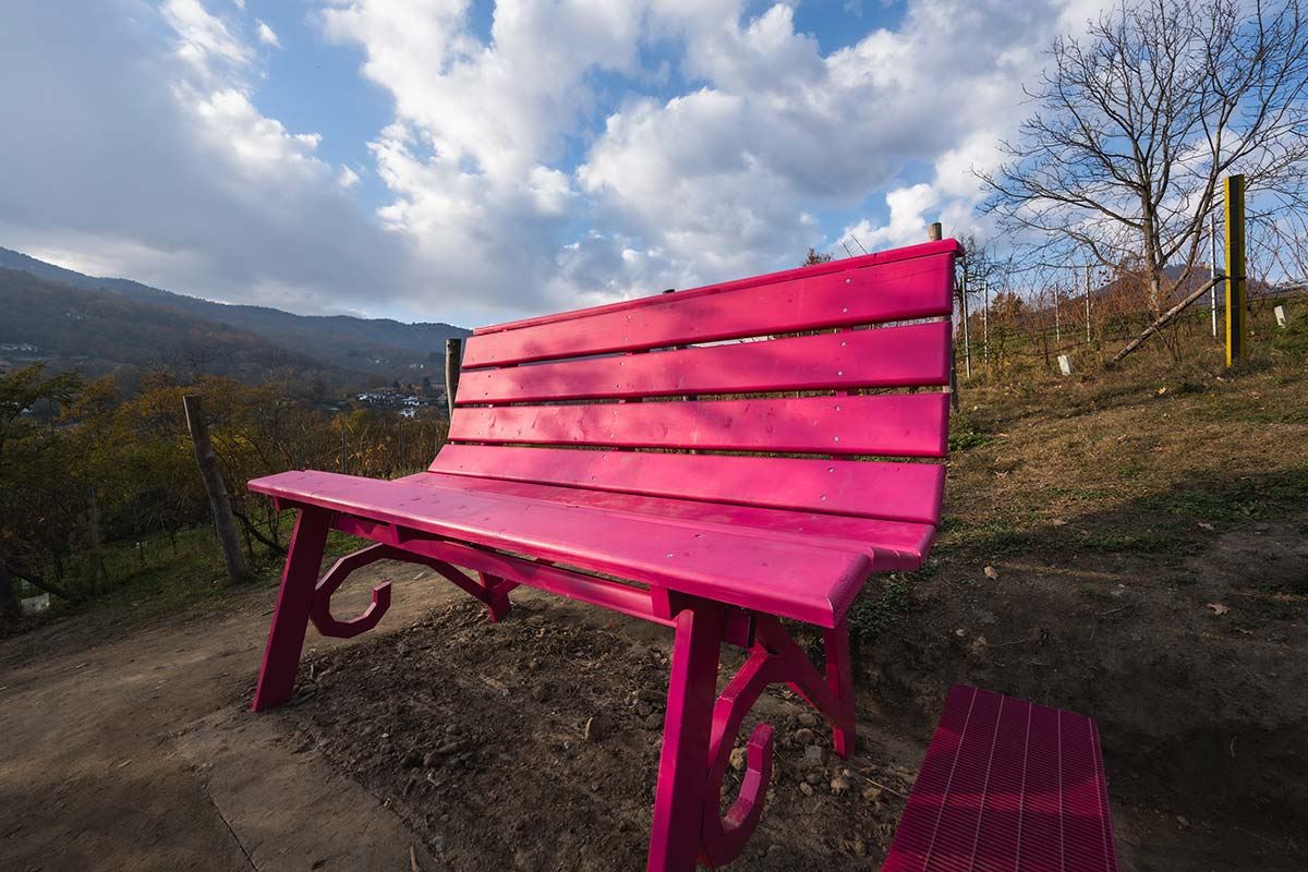 Gallery: Progetto Big Bench - 50