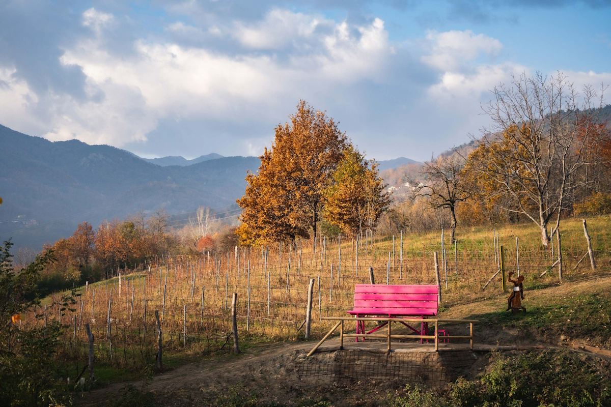 Gallery: Progetto Big Bench - 55