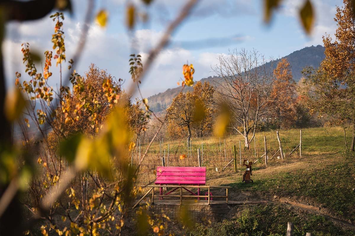 Gallery: Progetto Big Bench - 57