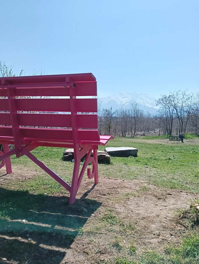 Gallery: Progetto Big Bench - 77