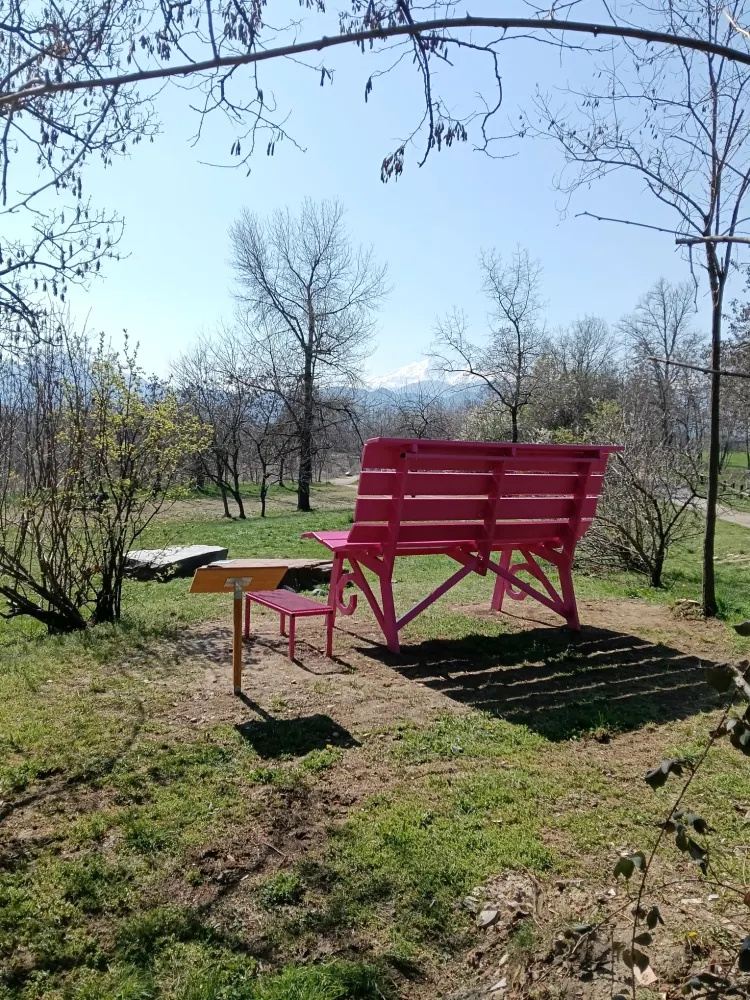 La Cura nello Sguardo - Progetti Big bench Cuneo