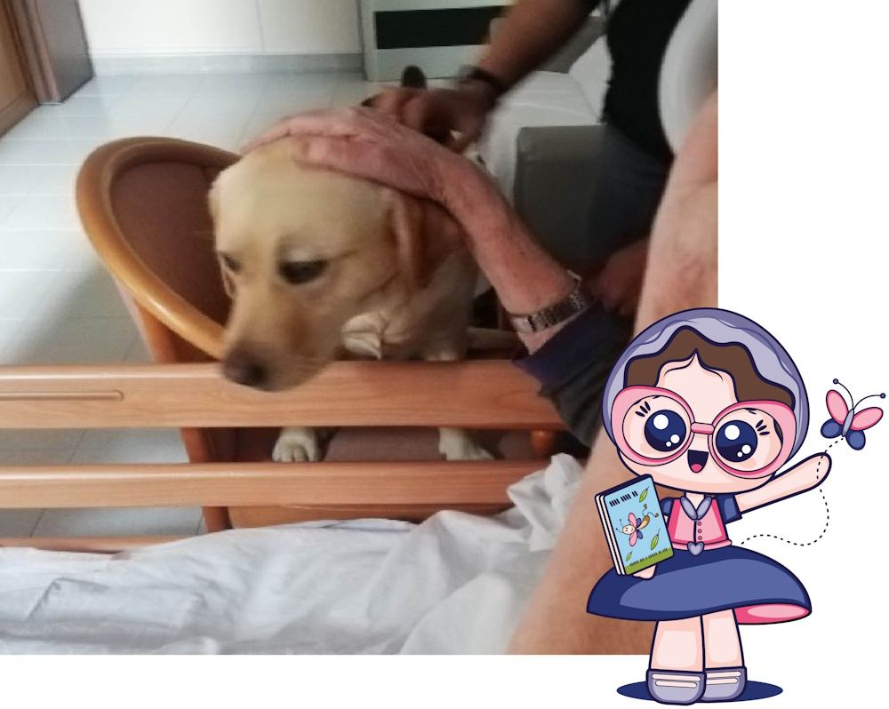 Pet Therapy 5